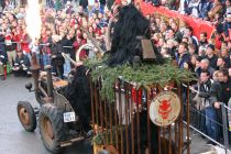 Bild 009